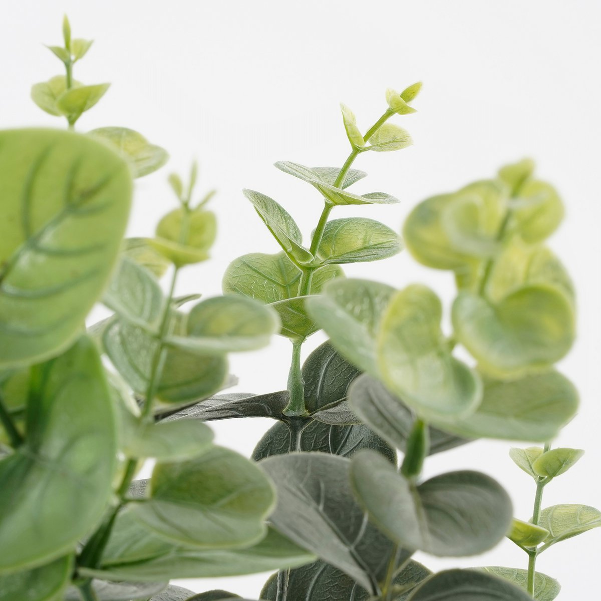 Plante d'Eucalyptus Artificielle en Pot de Fleur - H53 x Ø23 cm - Vert