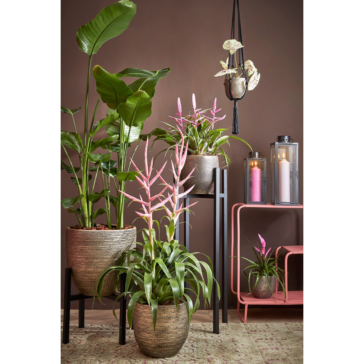 Support pour Plantes Ascot XL - L46 x L46 x H40 cm - Métal - Noir