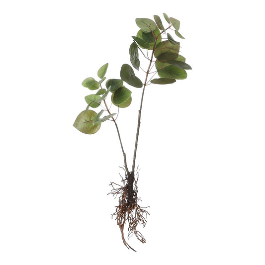 Plante d'eucalyptus artificielle - L12 x l28 x H64 cm - Vert