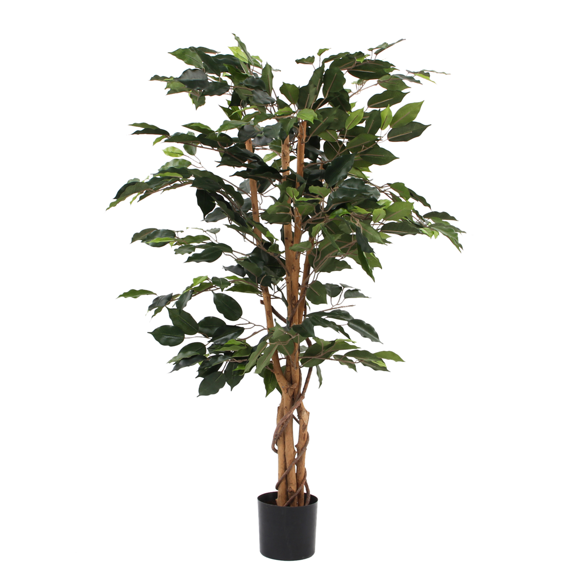 Plante Ficus Artificielle - H110 x Ø65 cm - Vert