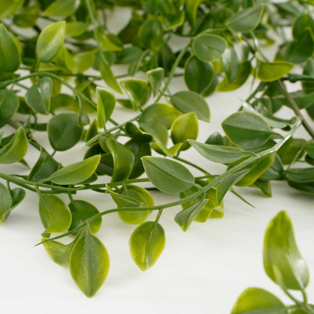 Plante Artificielle Suspendue Ficus - H81 cm - Vert