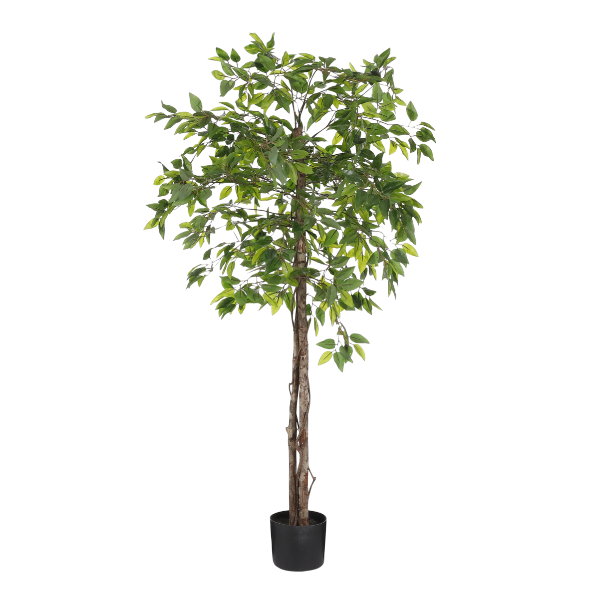 Plante Ficus Artificielle en Pot de Fleur - H150 x Ø50 cm - Vert