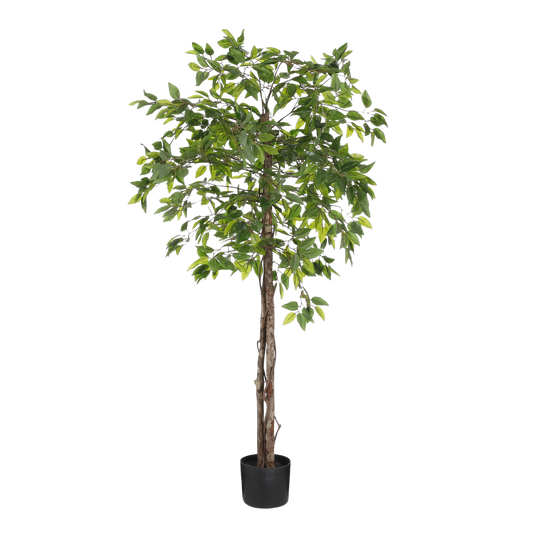 Plante Ficus Artificielle en Pot de Fleur - H150 x Ø50 cm - Vert