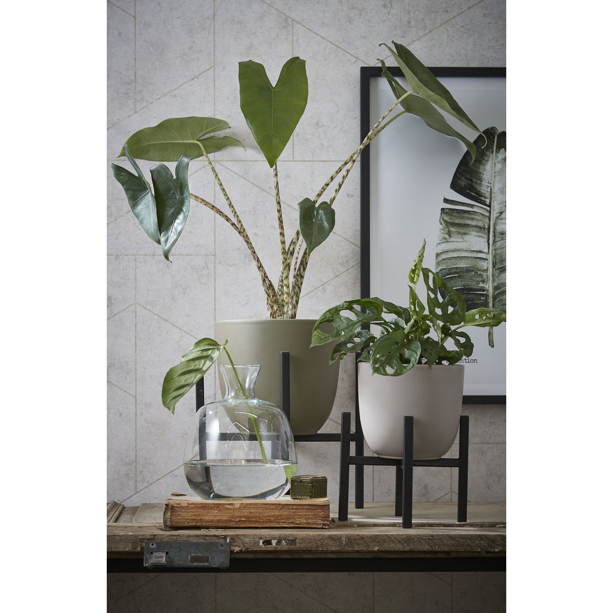 Support pour Plantes Ascot - L24 x L24 x H25 cm - Métal - Noir