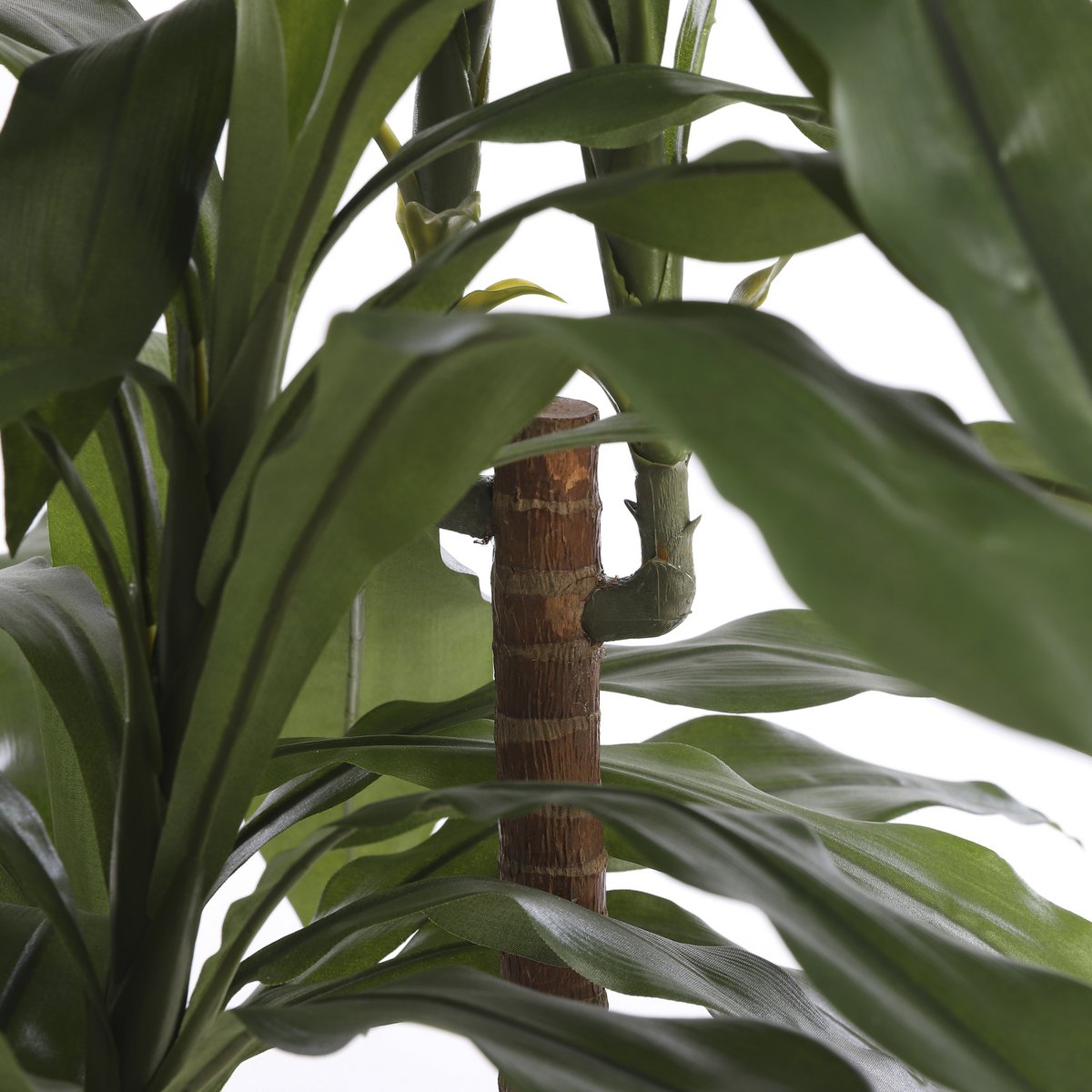 Plante Artificielle Dracaena - H100 x Ø70 cm