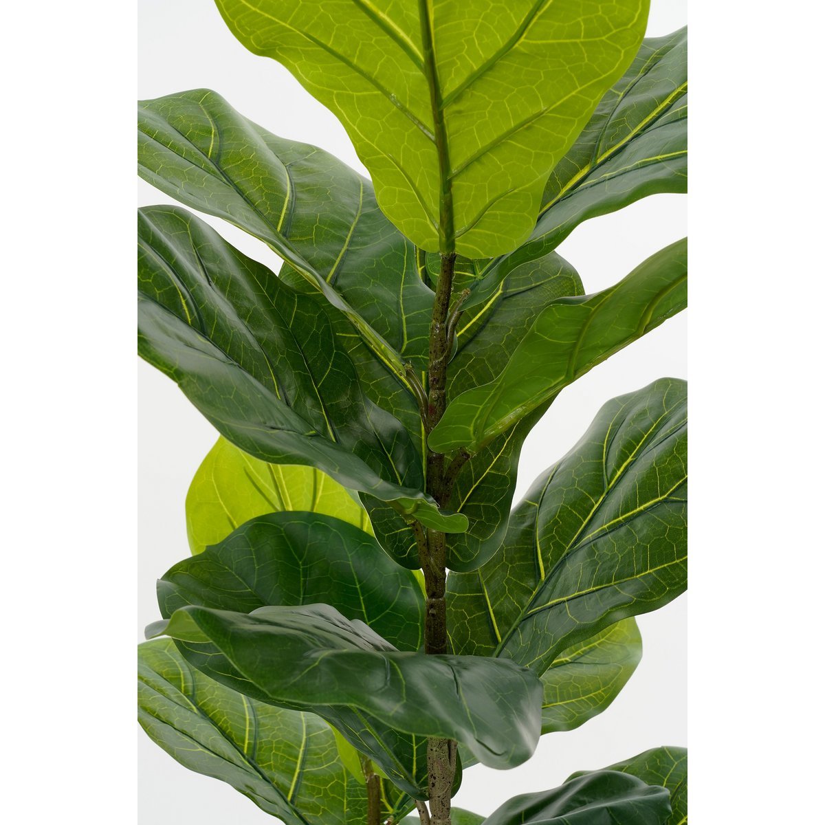 Ficus lyrata Plant artificiel en pot - vert