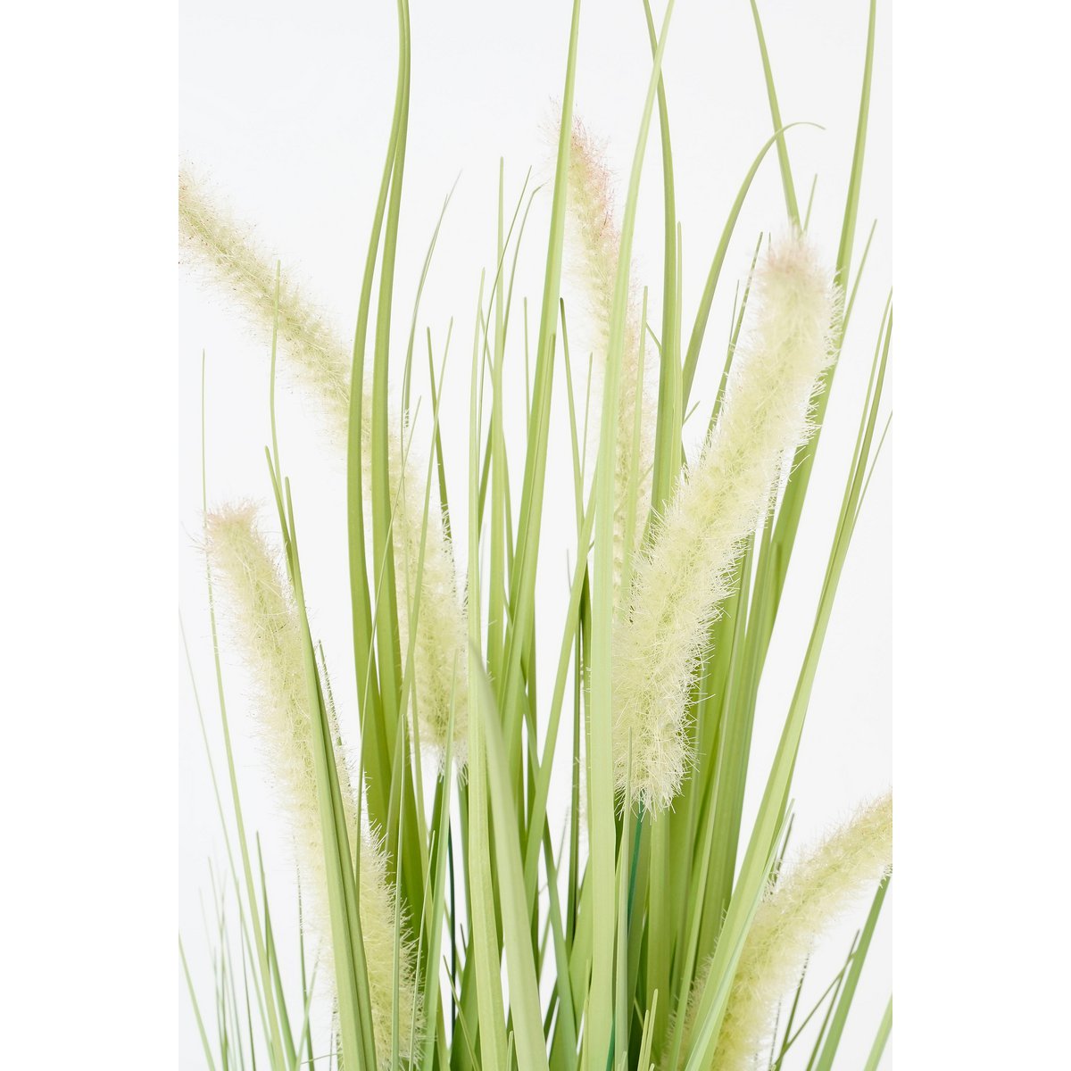 Plante Artificielle Herbe Dogtail - H53 x Ø30 cm - Vert