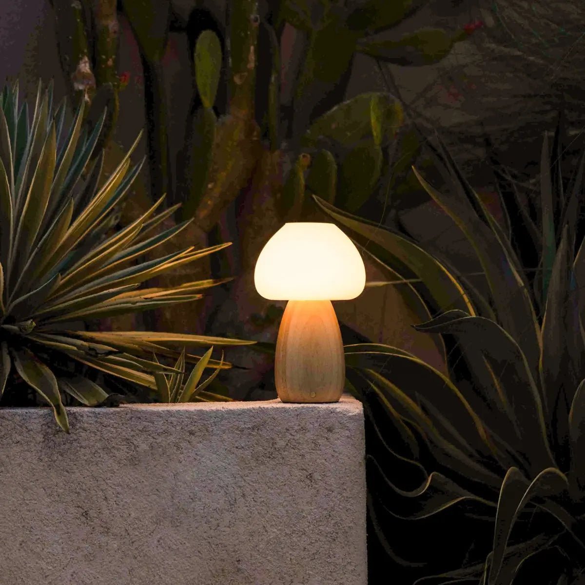 Ours Brown light élégant lampe rechargeable - conception sans fil, dimmable, respectueuse de l'environnement