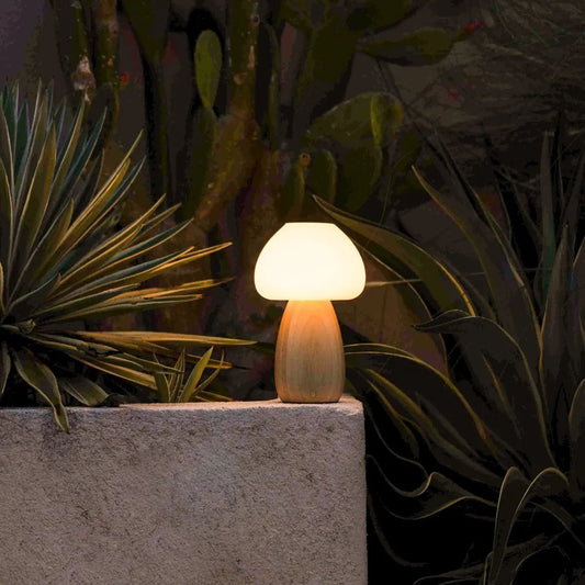 Ours Brown light élégant lampe rechargeable - conception sans fil, dimmable, respectueuse de l'environnement