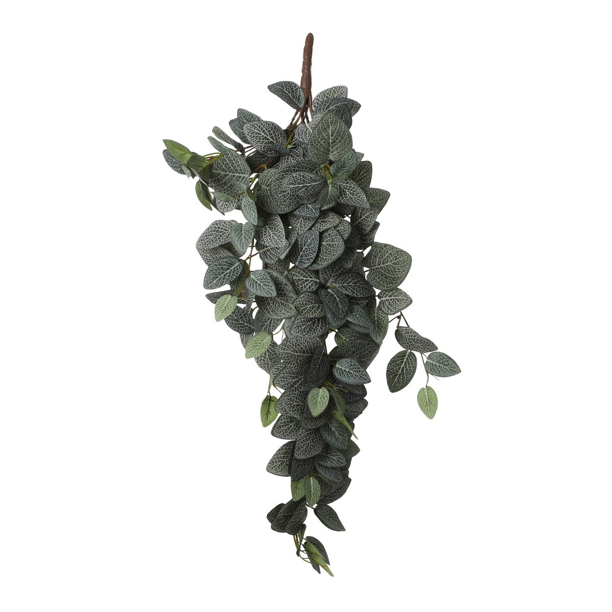 Plante Artificielle Suspendue Fittonia - L15 x L20 x H54 cm - Vert