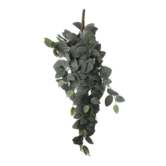 Plante Artificielle Suspendue Fittonia - L15 x L20 x H54 cm - Vert
