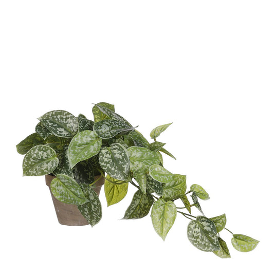 Plante Artificielle Scindapsus en Pot de Fleur Stan - H44 x Ø17 cm - Vert