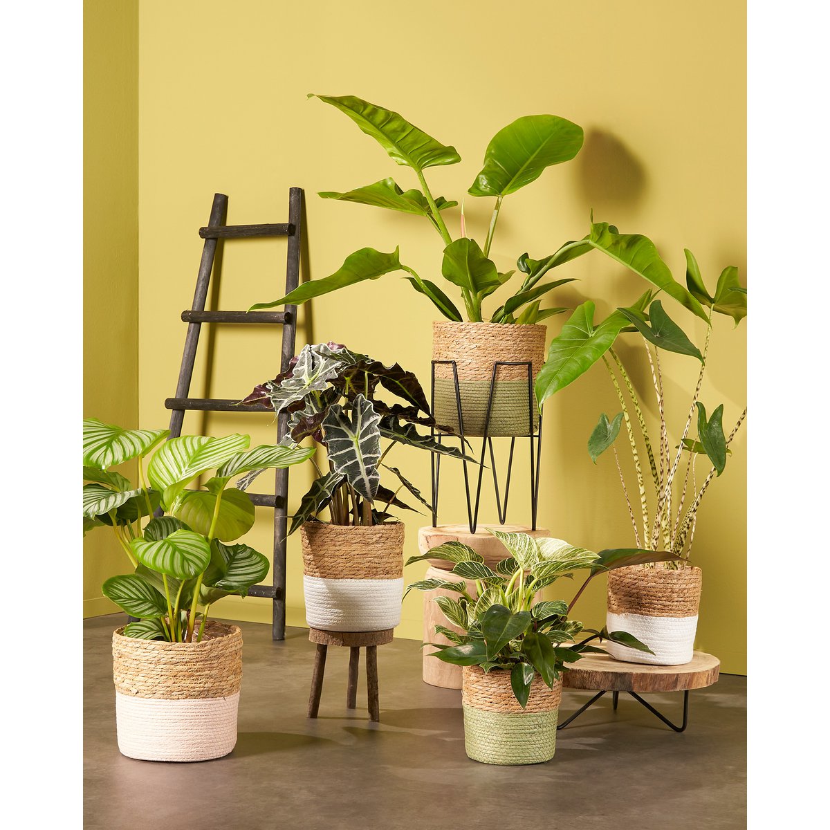 Table d'Appoint Tronc d'Arbre Pia / H14 x Ø29 cm - Marron clair