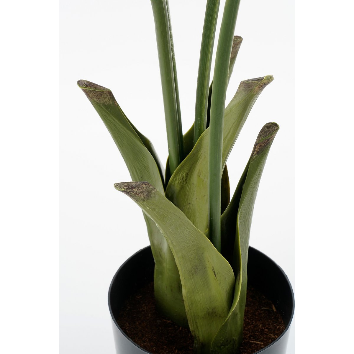 Plante artificielle de palmier de la queue de poisson en pot - H150 x Ø100 cm - vert