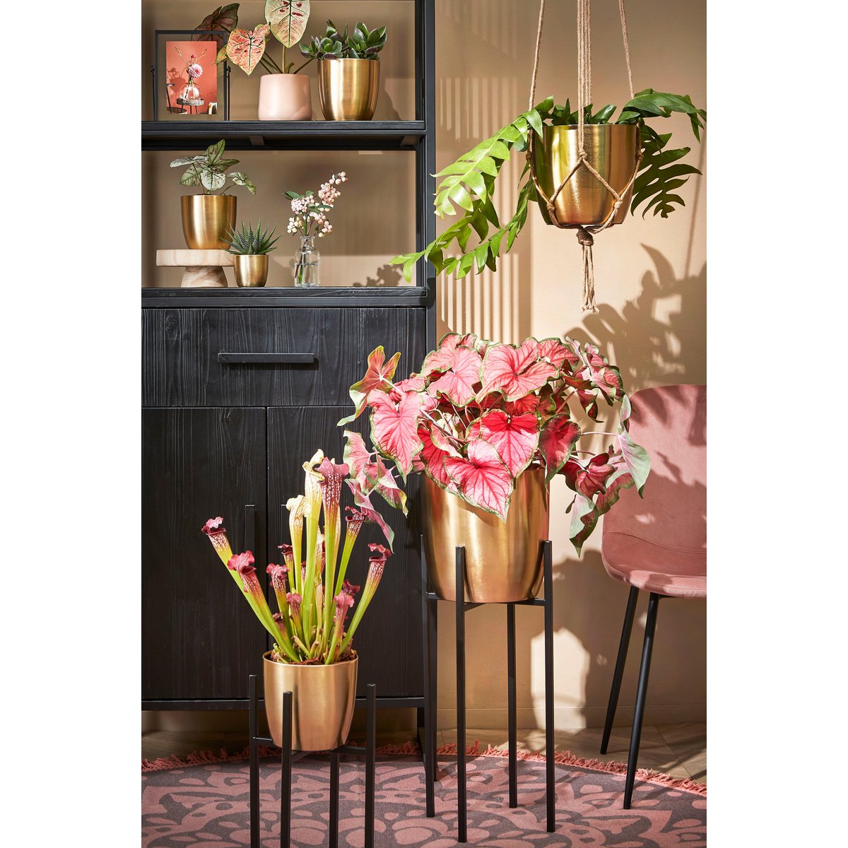 Alano Flowerpot - H21 x Ø22 cm - Métal - or