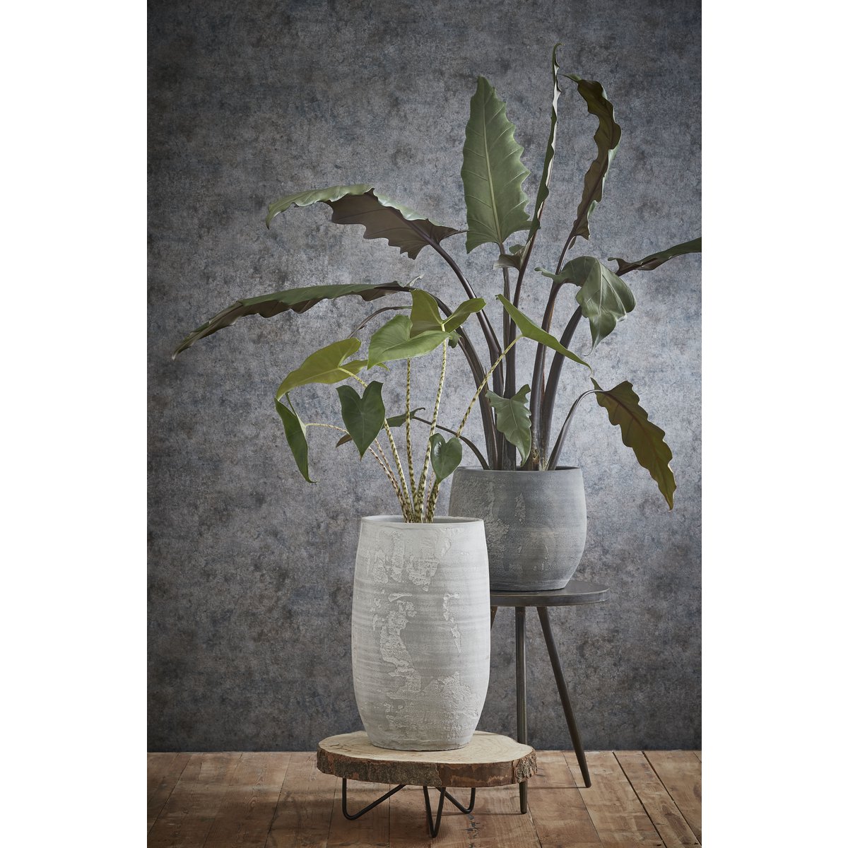 Table d'Appoint Tronc d'Arbre Pia / H14 x Ø40 cm - Marron clair