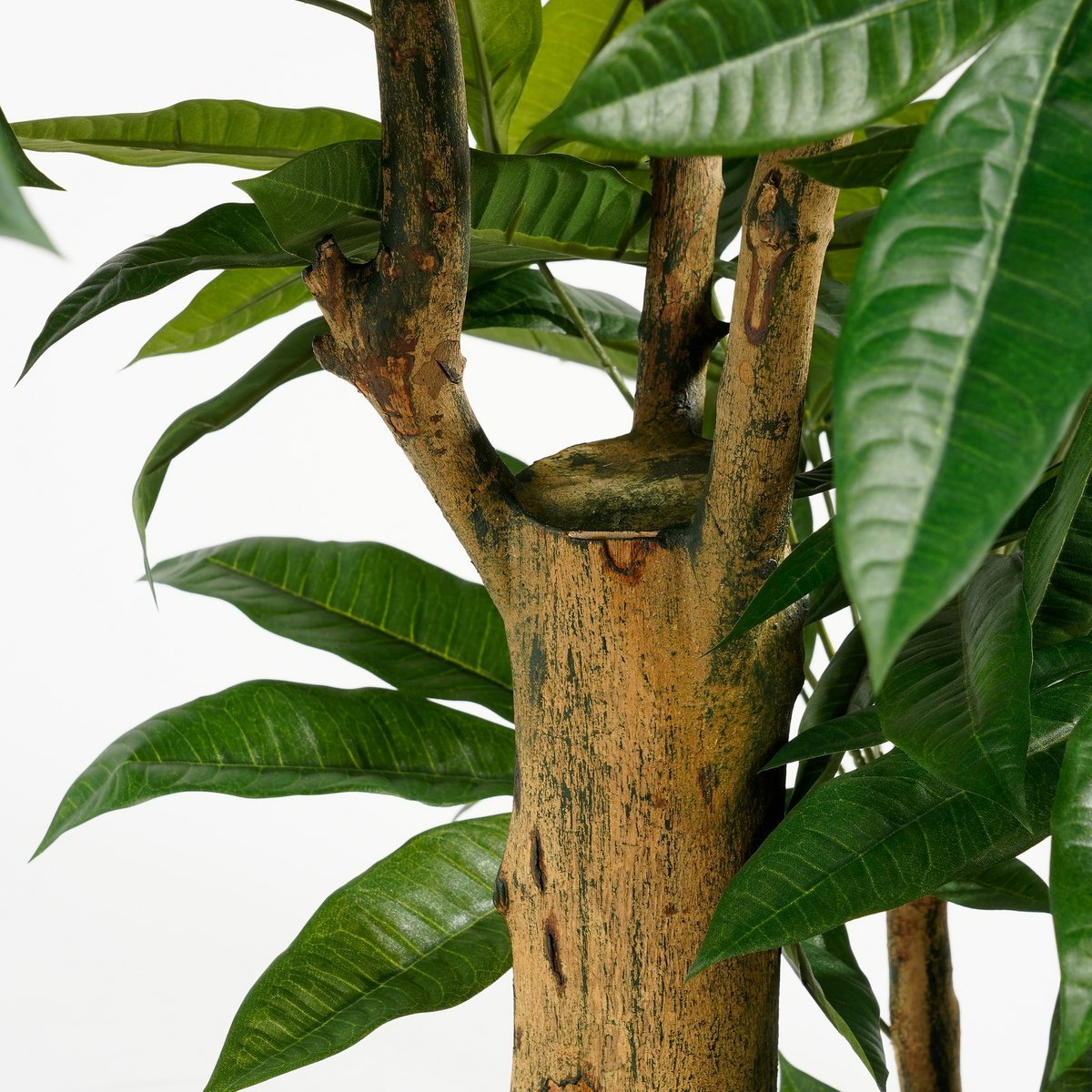 Plante Artificielle Pachira - H175 x Ø85 cm - Vert