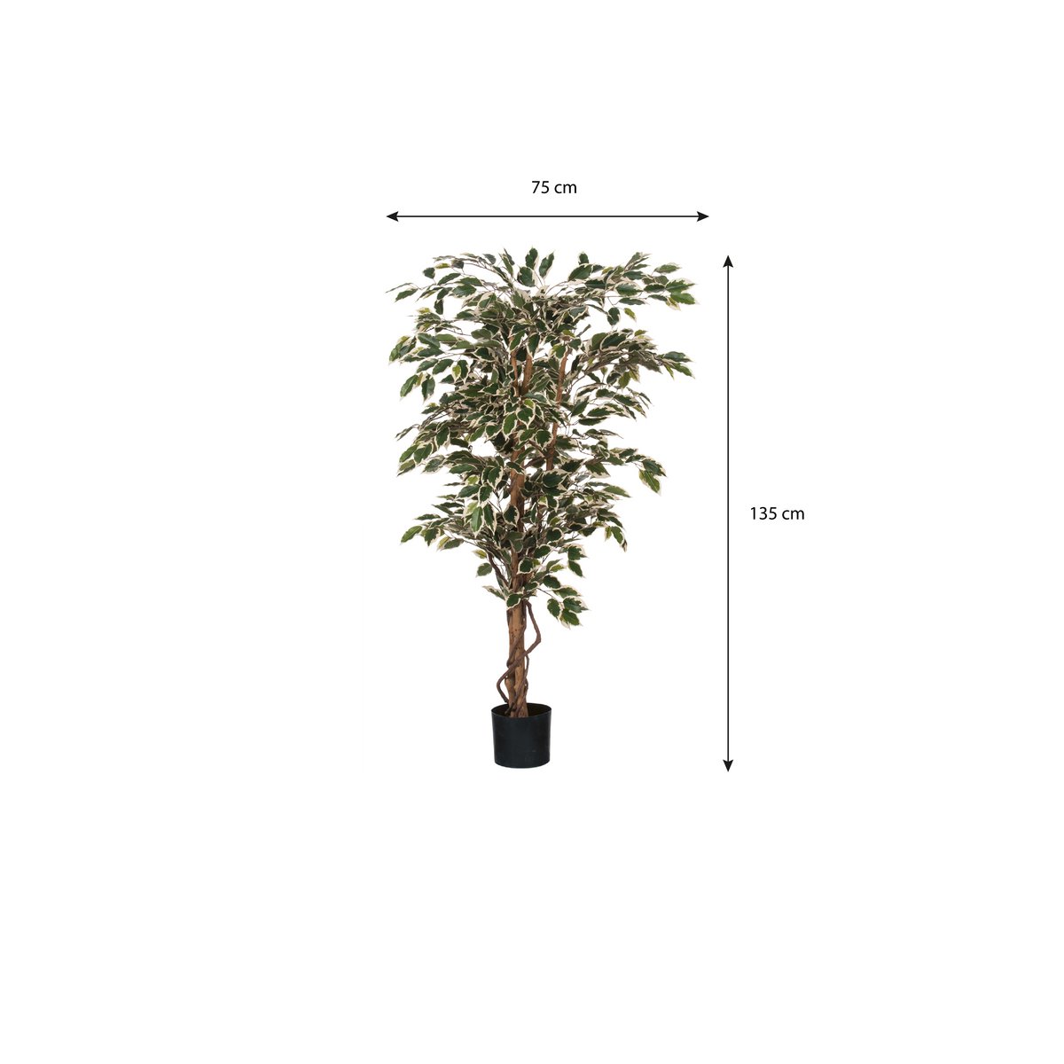 Plante Ficus Artificielle - H150 x Ø75 cm - Vert Panaché