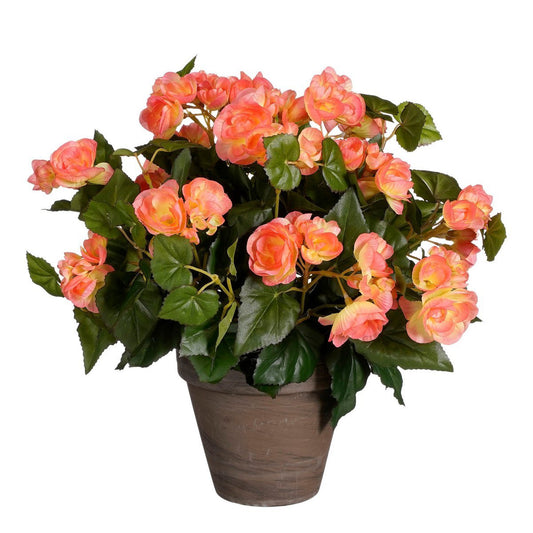 Plante Bégonia Artificielle en Pot de Fleurs Stan - H37 x Ø36 cm - Rose Saumon