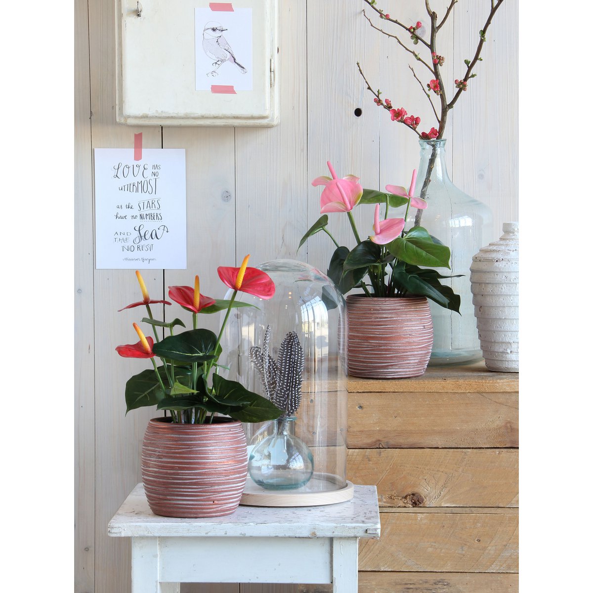 Plante Anthurium Artificielle en Pot de Fleur Stan - H38 x Ø30 cm - Rouge