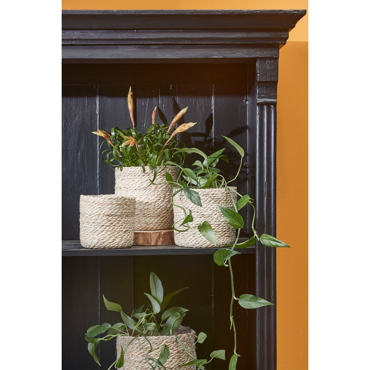 Panier à Plantes Atlantic - Lot de 3 - H16 x Ø16 cm - Jute - Crème