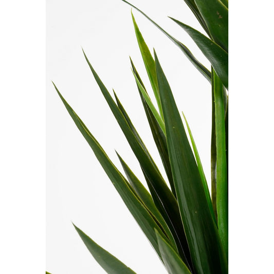 Yucca Art Plant - H160 X Ø80 cm - Groen