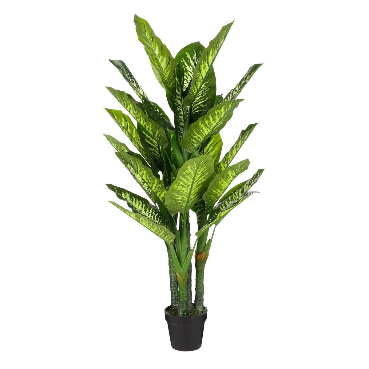 Dieffenbachia Kunstplant - H150 x Ø70 cm