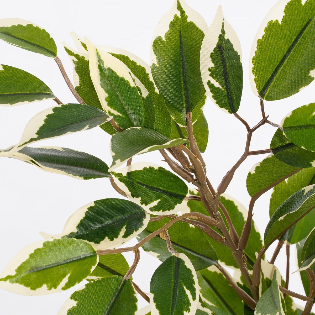 Ficus Natasja Plante Artificielle en Pot de Fleur Stan - H40 x Ø30 cm - Vert Panaché