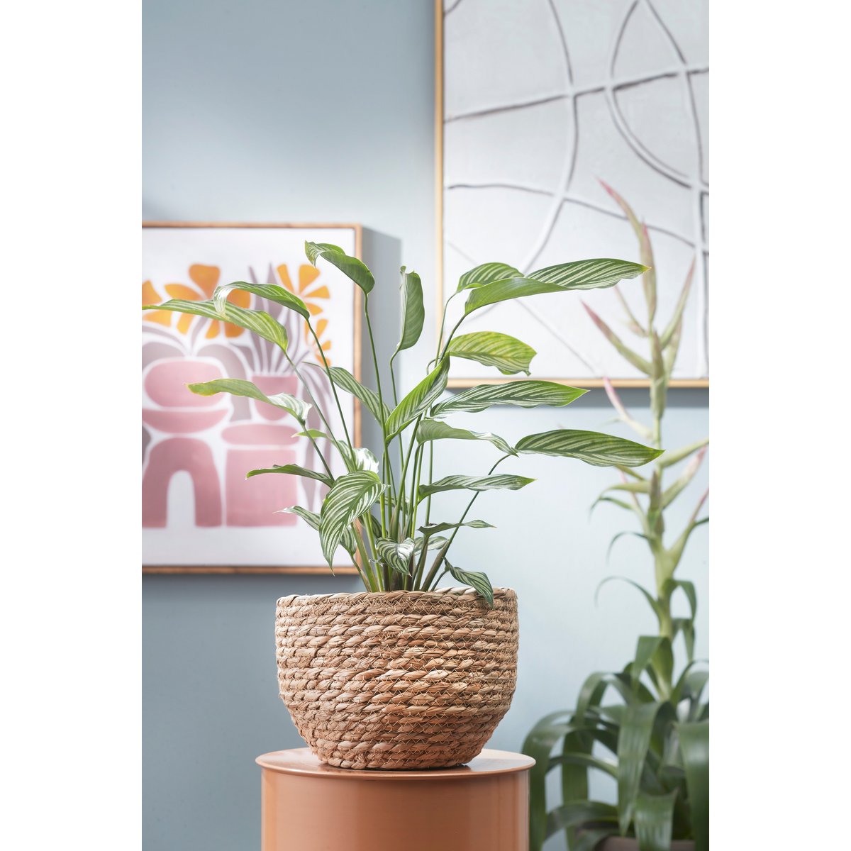 Corbeille à Plantes Jorck / H19 x Ø22 cm - Jonc de Mer - Marron clair