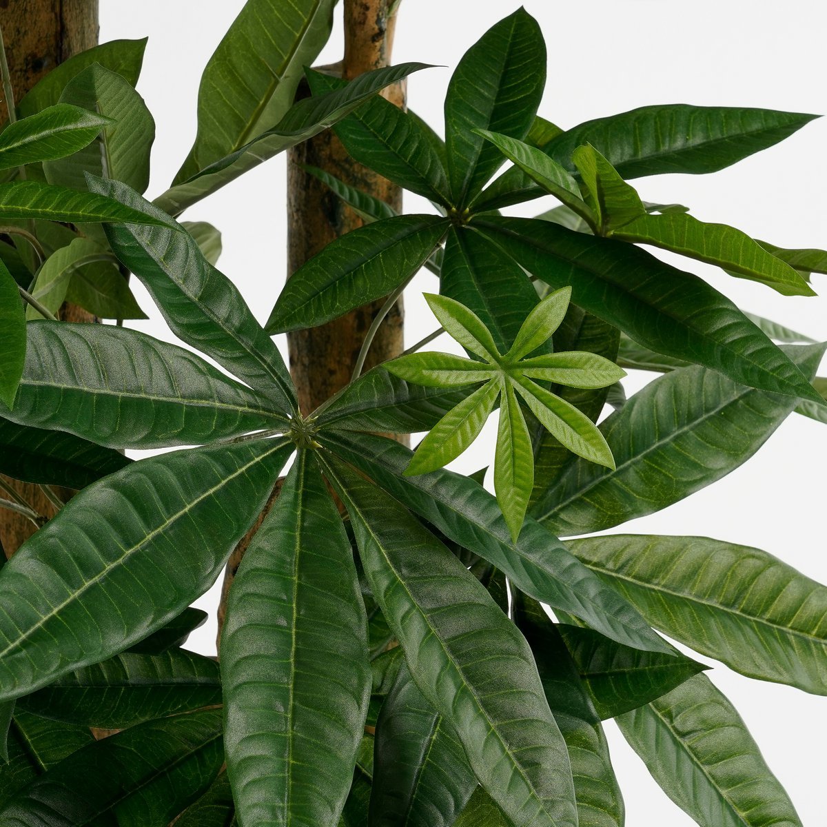 Plante Artificielle Pachira - H175 x Ø85 cm - Vert