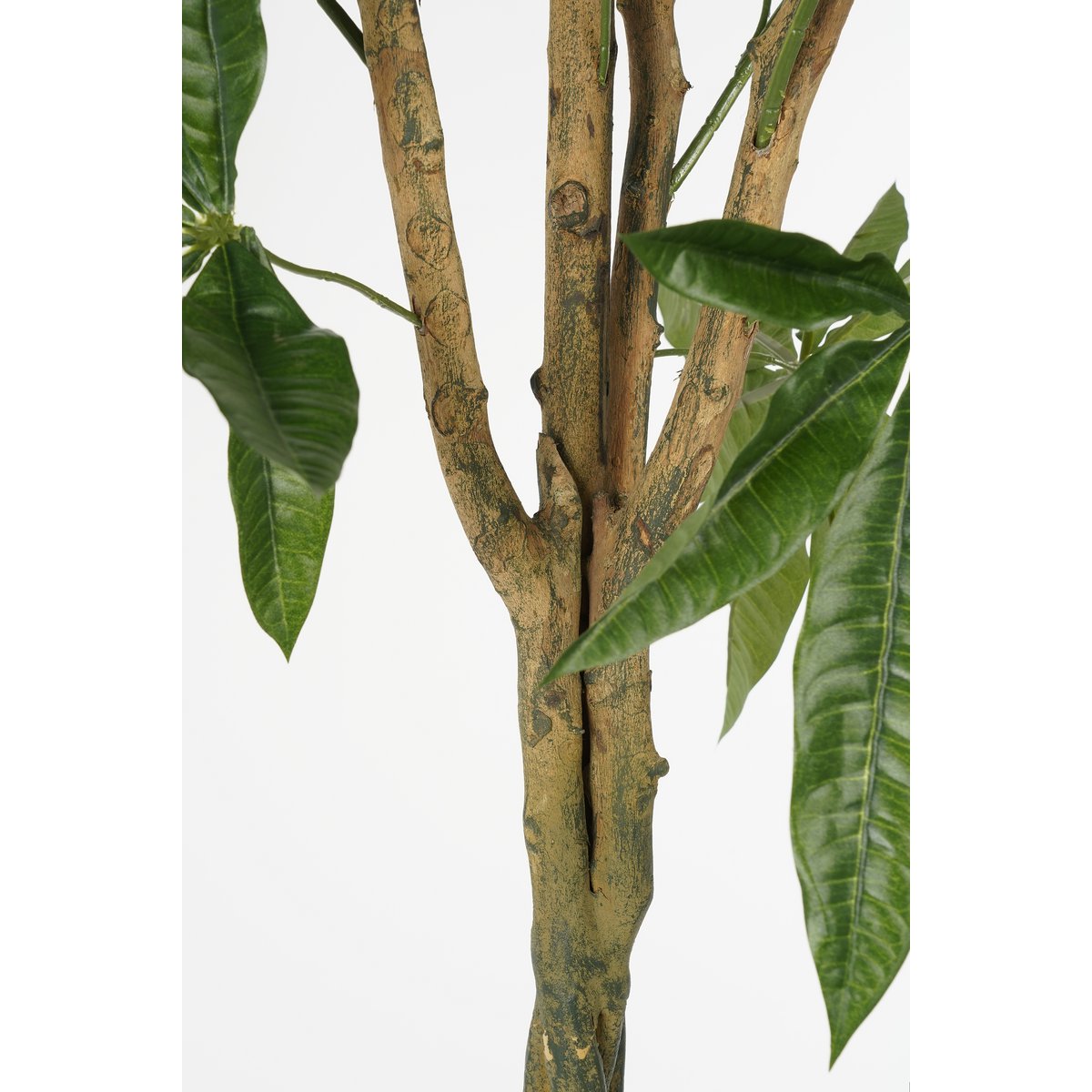 Plante Artificielle Pachira - H120 x Ø50 cm - Vert