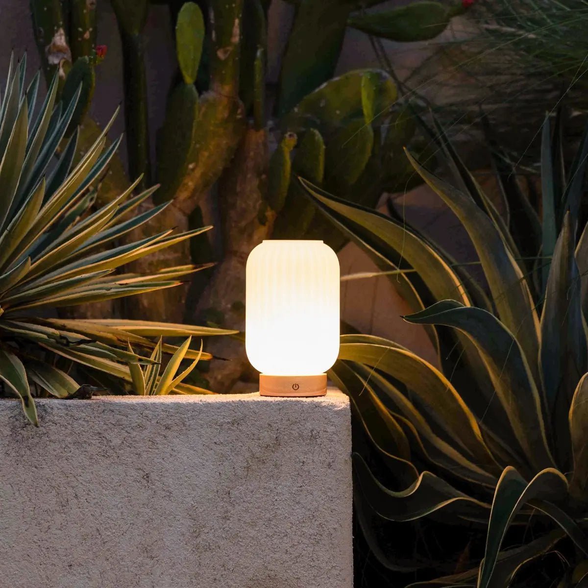 Lampe rechargeable unique Lilly – Verre dépoli et base en bois, intensité variable, 3 modes d'éclairage