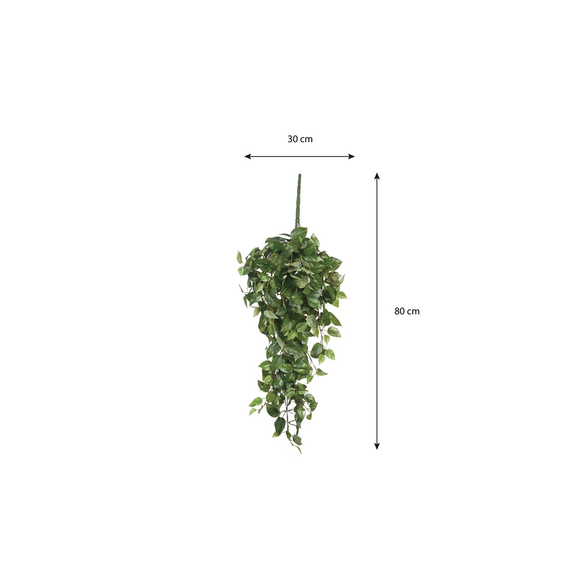 Plante Artificielle Suspendue Scindapsus - L15 x L30 x H80 cm - Vert