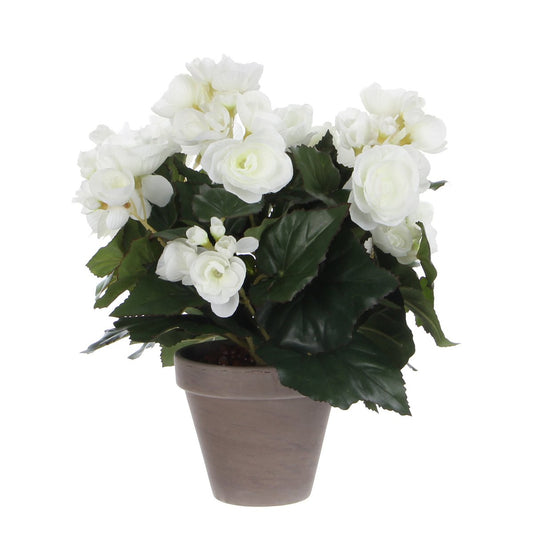 Plante Bégonia Artificielle en Pot de Fleur Stan - H30 x Ø25 cm - Blanc