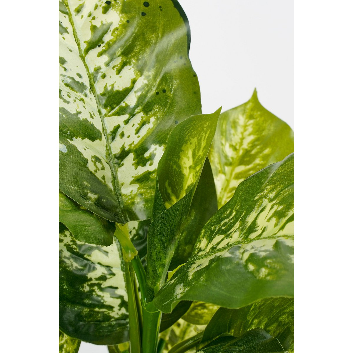 Dieffenbachia Plante Artificielle en Pot de Fleur Stan - H40 x Ø30 cm - Vert