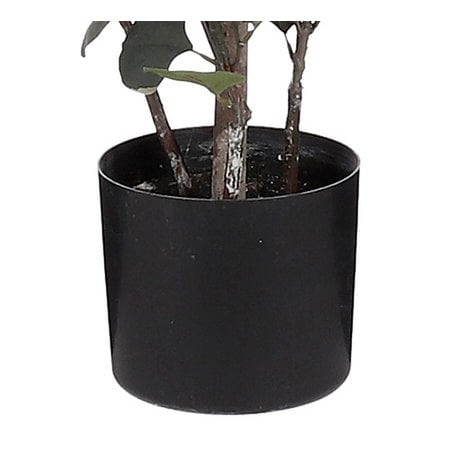 Plante d'Eucalyptus Artificielle en Pot de Fleur - H150 x Ø30 cm - Vert