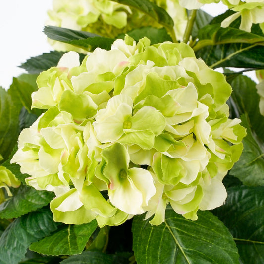 Hortensia Artificiel en Pot de Fleur Stan - H45 x Ø45 cm - Vert