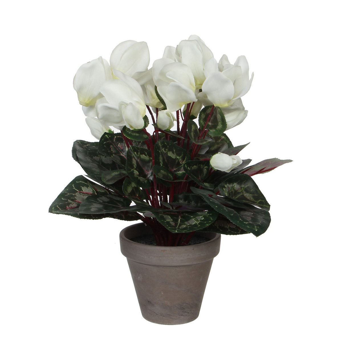 Plante Cyclamen Artificielle en Pot de Fleur Stan - H30 x Ø30 cm - Blanc