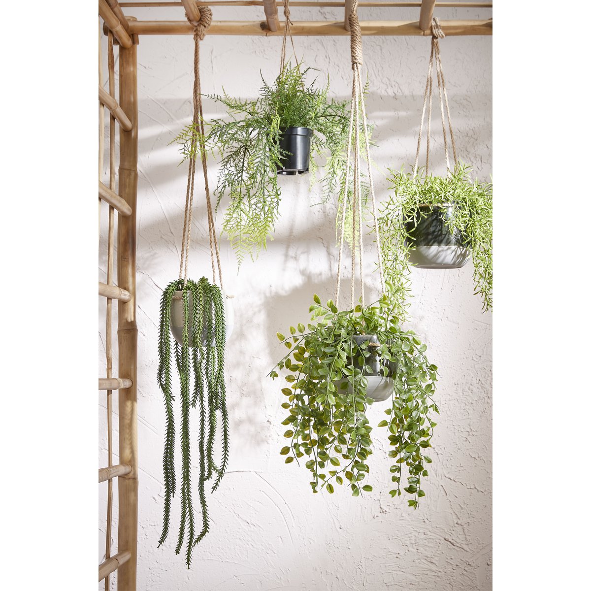 Plante Artificielle Ficus Suspendue en Pot - H46 x Ø20 cm - Vert