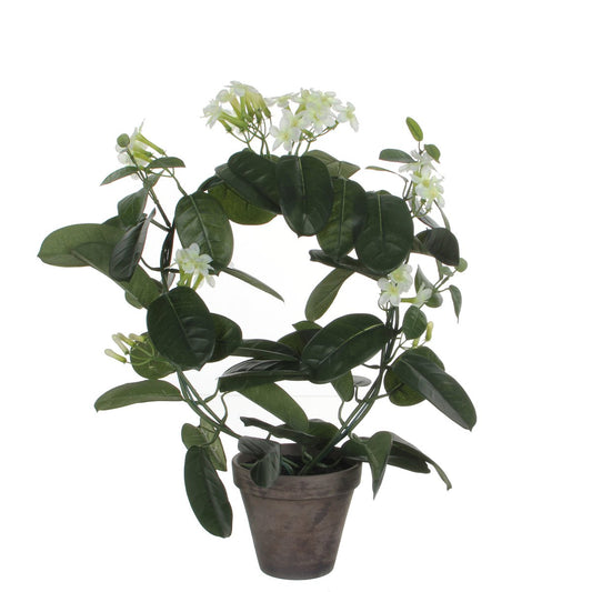Plante Artificielle Stephanotis en Pot de Fleur Stan - H50 x Ø40 cm - Blanc