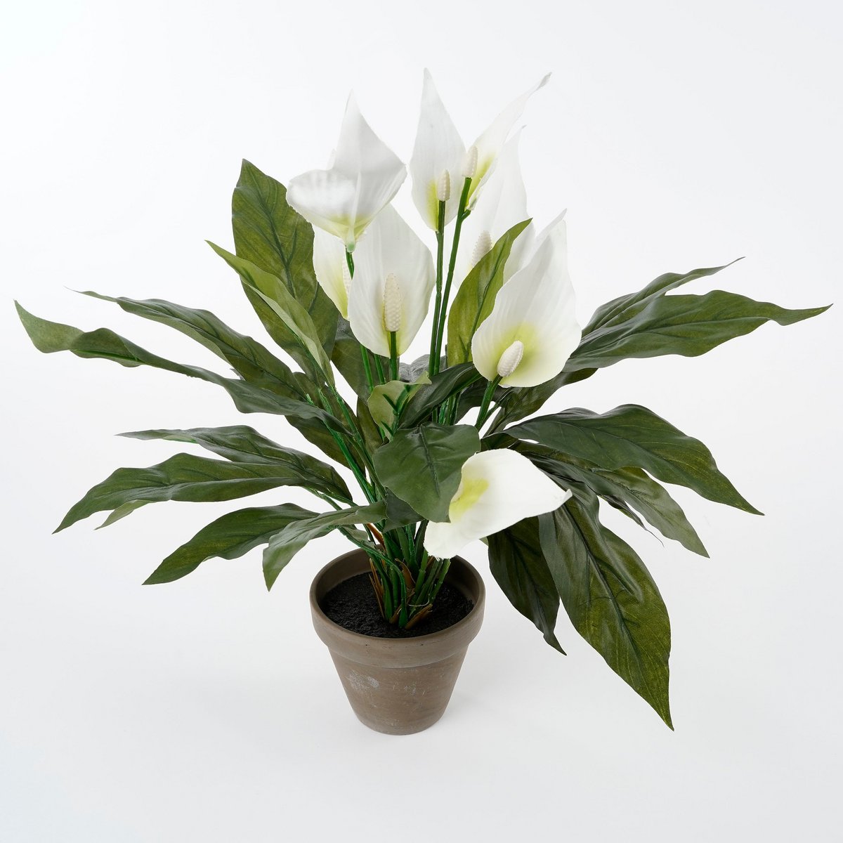 Spathiphyllum Plante Artificielle en Pot de Fleur Stan - H50 x Ø40 cm - Blanc