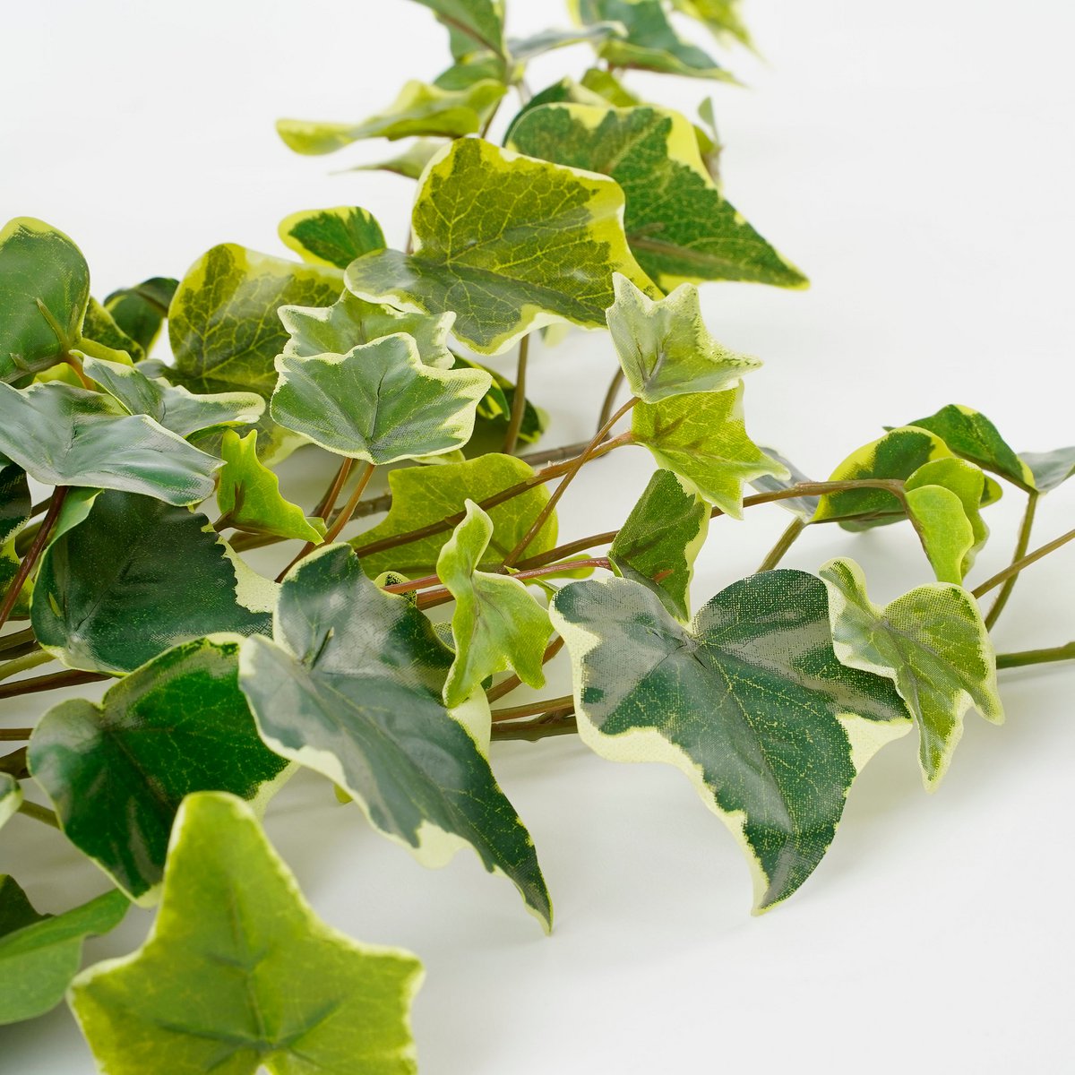 Plante Artificielle Suspendue Hedera - H71 cm - Panachée Verte