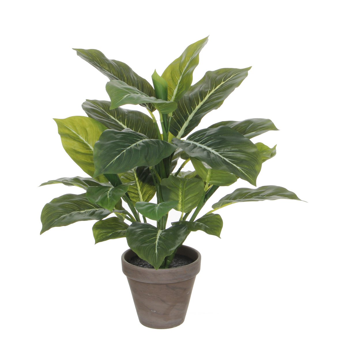 Plante Artificielle à Feuilles Persistantes en Pot de Fleur Stan - H49 x Ø40 cm - Vert