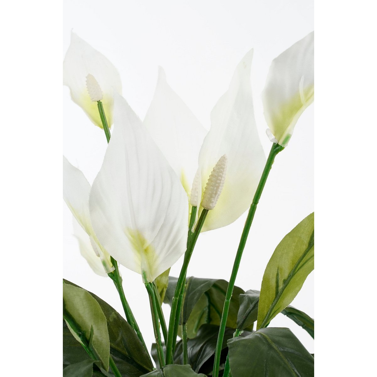 Spathiphyllum Plante Artificielle en Pot de Fleur Stan - H50 x Ø40 cm - Blanc