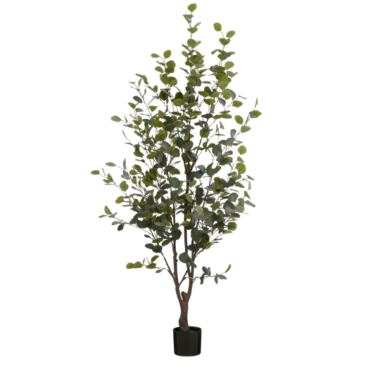 Plante artificielle Eucalyptus en Pot - H180 x Ø80 cm - Vert