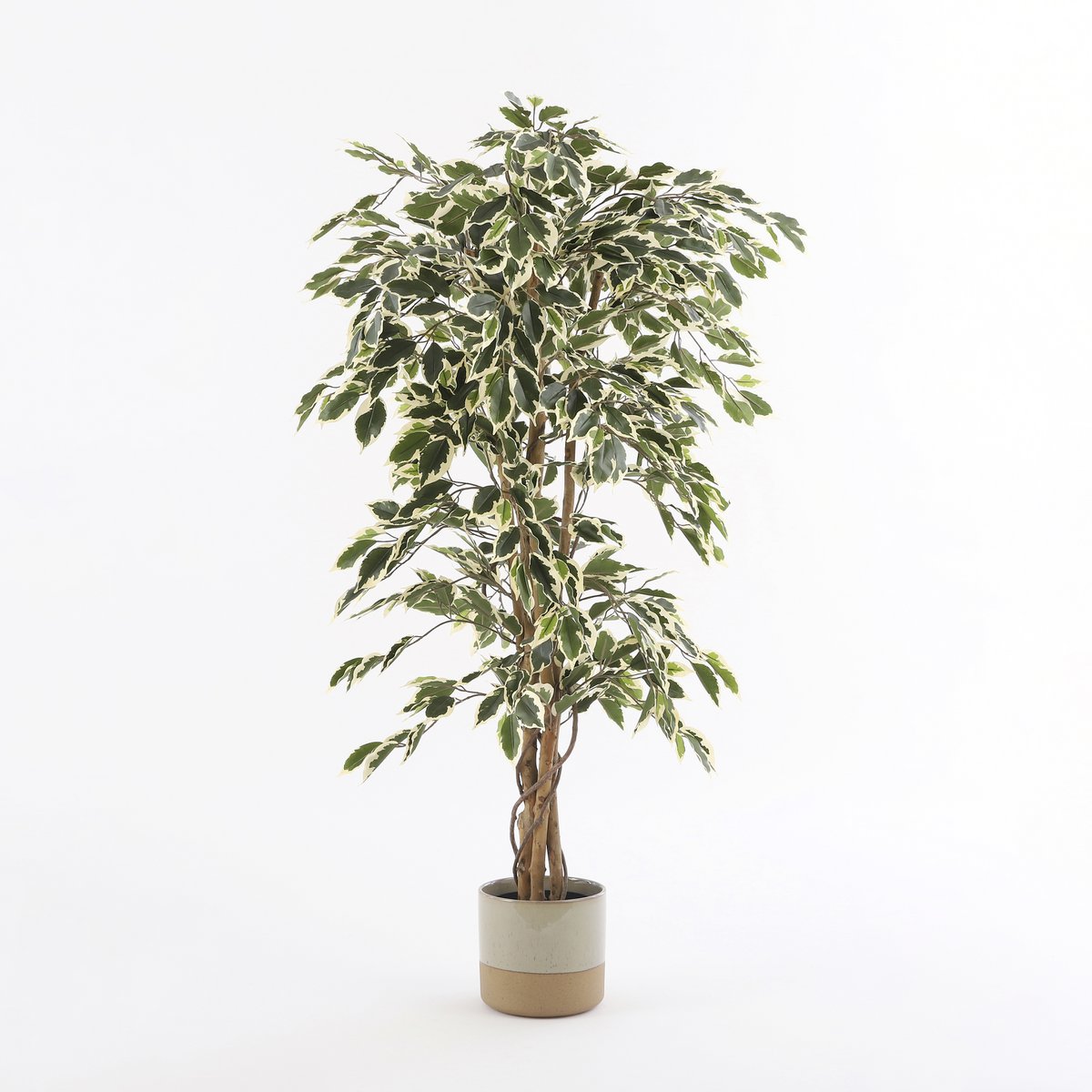 Plante Ficus Artificielle - H150 x Ø75 cm - Vert Panaché