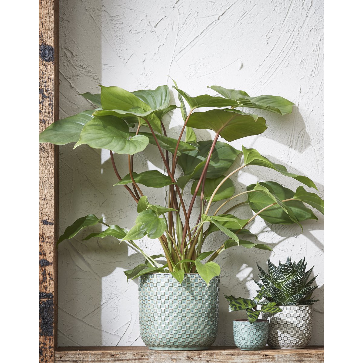 Pot de Fleurs Daan / H18 x Ø19 cm - Vert