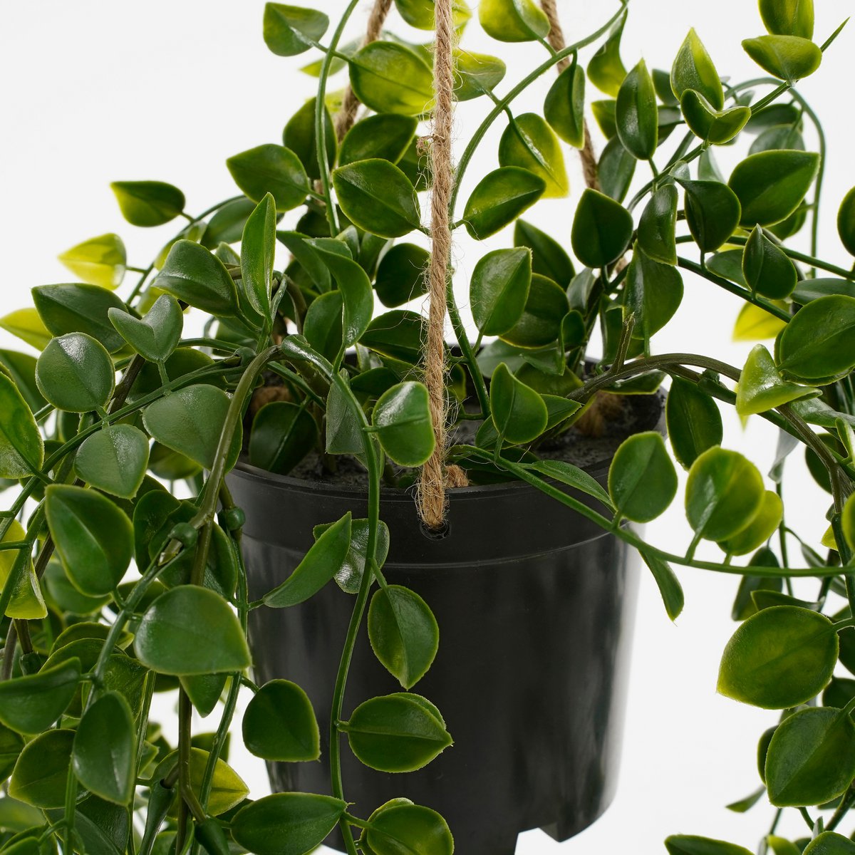 Plante Artificielle Ficus Suspendue en Pot - H46 x Ø20 cm - Vert